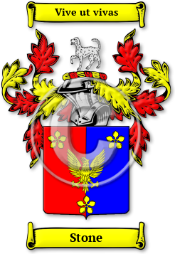 Stone Family Crest Download (JPG) Legacy Series - 600 DPI