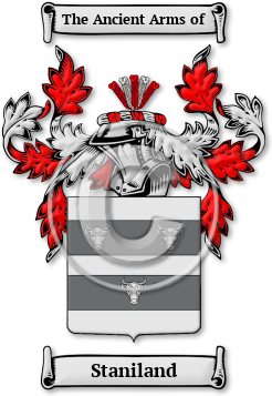 Staniland Family Crest Download (jpg) Legacy Series - 150 DPI