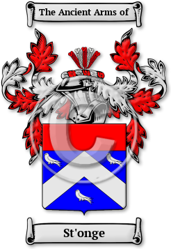 St'onge Family Crest Download (jpg) Legacy Series - 150 DPI