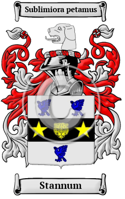 Stannum Family Crest/Coat of Arms