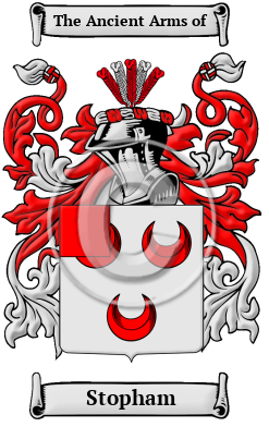 Stopham Family Crest Download (JPG) Heritage Series - 600 DPI