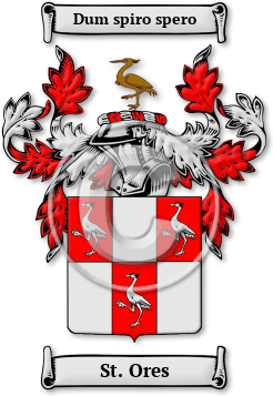 St. Ores Family Crest Download (JPG) Legacy Series - 600 DPI