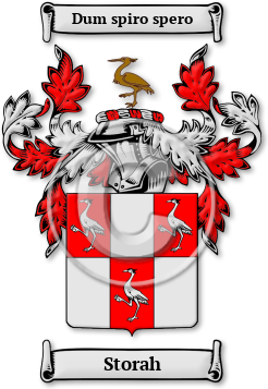 Storah Family Crest Download (jpg) Legacy Series - 150 DPI