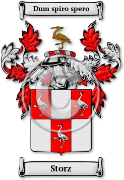 Storz Family Crest Download (JPG) Legacy Series - 600 DPI