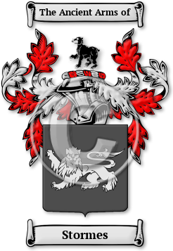 Stormes Family Crest Download (jpg) Legacy Series - 150 DPI