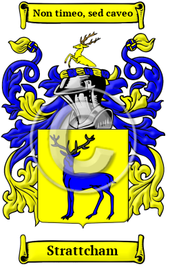 Strattcham Family Crest/Coat of Arms