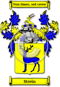 Strein Family Crest Download (jpg) Legacy Series - 150 DPI
