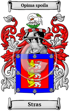 Stras Family Crest Download (JPG) Heritage Series - 600 DPI