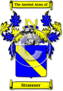 Strassner Family Crest Download (jpg) Legacy Series - 150 DPI