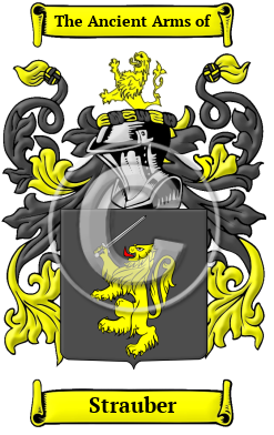 Strauber Family Crest Download (JPG) Heritage Series - 600 DPI