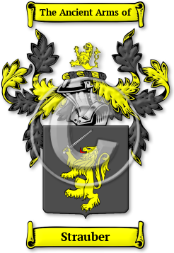 Strauber Family Crest Download (jpg) Legacy Series - 150 DPI
