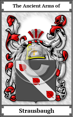 Strausbaugh Family Crest Download (JPG)  Book Plated - 150 DPI
