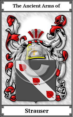 Strauser Family Crest Download (JPG) Book Plated - 600 DPI