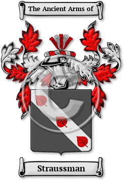 Straussman Family Crest Download (JPG) Legacy Series - 600 DPI