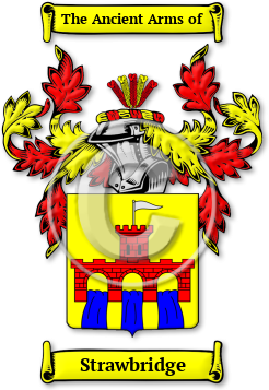 Strawbridge Family Crest Download (jpg) Legacy Series - 150 DPI