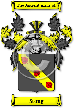 Stong Family Crest Download (jpg) Legacy Series - 150 DPI