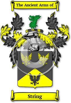 String Family Crest Download (jpg) Legacy Series - 150 DPI