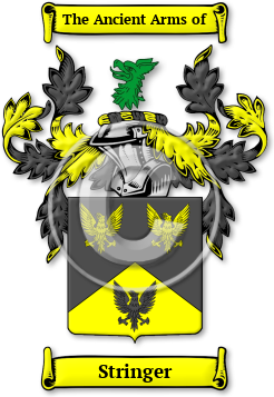 Stringer Family Crest Download (jpg) Legacy Series - 150 DPI