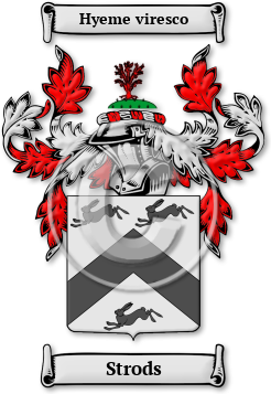 Strods Family Crest Download (jpg) Legacy Series - 150 DPI