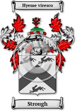 Strough Family Crest Download (jpg) Legacy Series - 150 DPI
