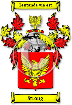 Strong Family Crest Download (JPG) Legacy Series - 300 DPI