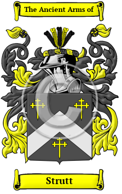 Strutt Family Crest Download (JPG) Heritage Series - 600 DPI