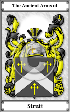 Strutt Family Crest Download (JPG)  Book Plated - 150 DPI