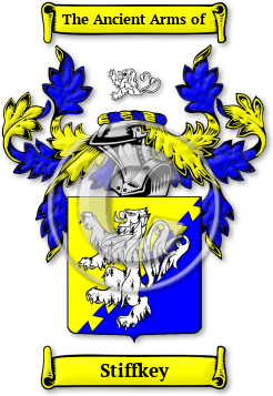 Stiffkey Family Crest Download (jpg) Legacy Series - 150 DPI