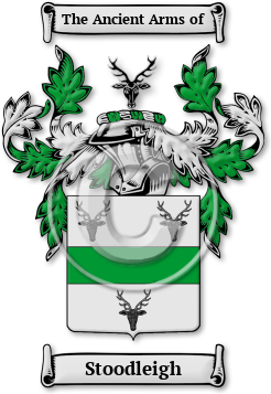 Stoodleigh Family Crest Download (jpg) Legacy Series - 150 DPI