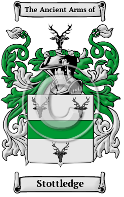 Stottledge Family Crest/Coat of Arms