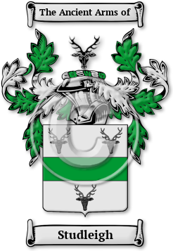 Studleigh Family Crest Download (JPG) Legacy Series - 600 DPI