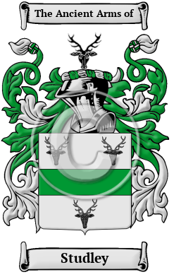 Studley Family Crest/Coat of Arms
