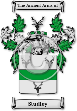 Studley Family Crest Download (jpg) Legacy Series - 150 DPI