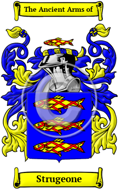 Strugeone Family Crest/Coat of Arms