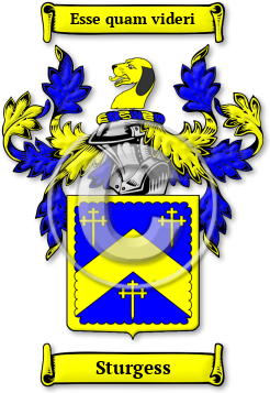 Sturgess Family Crest Download (jpg) Legacy Series - 150 DPI