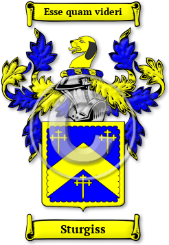 Sturgiss Family Crest Download (JPG) Legacy Series - 300 DPI