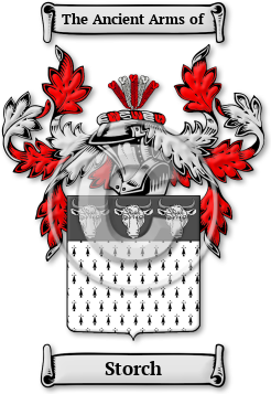 Storch Family Crest Download (jpg) Legacy Series - 150 DPI