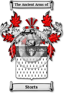 Storts Family Crest Download (jpg) Legacy Series - 150 DPI