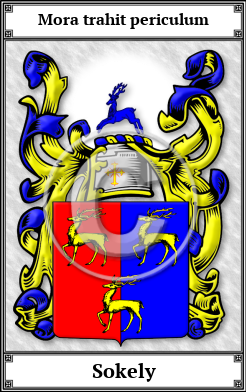 Sokely Family Crest Download (JPG)  Book Plated - 150 DPI