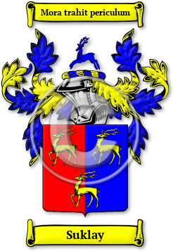 Suklay Family Crest Download (jpg) Legacy Series - 150 DPI