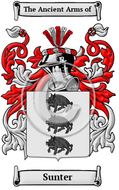 Sunter Family Crest Download (JPG) Heritage Series - 600 DPI