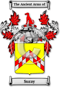 Suray Family Crest Download (JPG) Legacy Series - 600 DPI