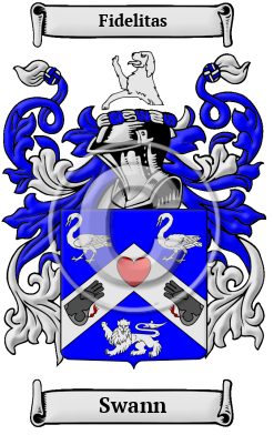 Swann Family Crest/Coat of Arms