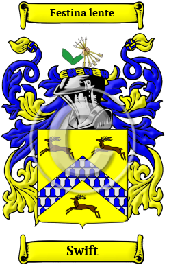 Swift Family Crest Download (JPG) Heritage Series - 600 DPI