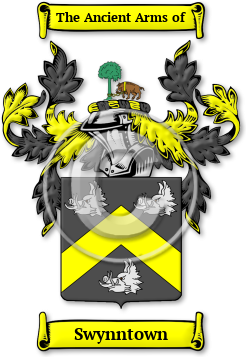 Swynntown Family Crest Download (jpg) Legacy Series - 150 DPI