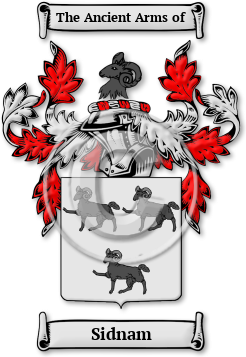 Sidnam Family Crest Download (jpg) Legacy Series - 150 DPI
