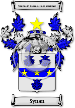 Synan Family Crest Download (jpg) Legacy Series - 150 DPI