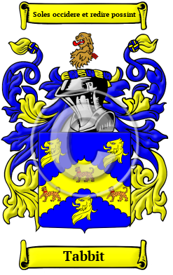 Tabbit Family Crest Download (JPG) Heritage Series - 600 DPI