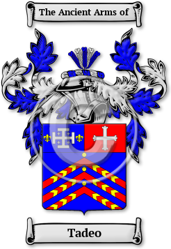 Tadeo Family Crest Download (jpg) Legacy Series - 150 DPI