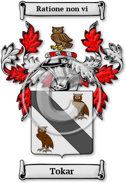 Tokar Family Crest Download (jpg) Legacy Series - 150 DPI